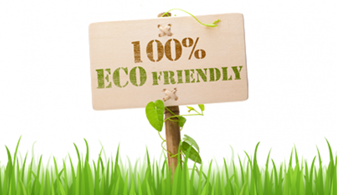 How to make money while being eco-friendly