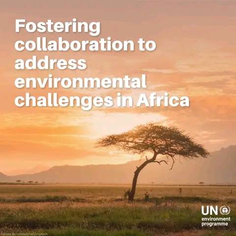 UNEP fosters collaboration to tackle Africa’s environmental challenges