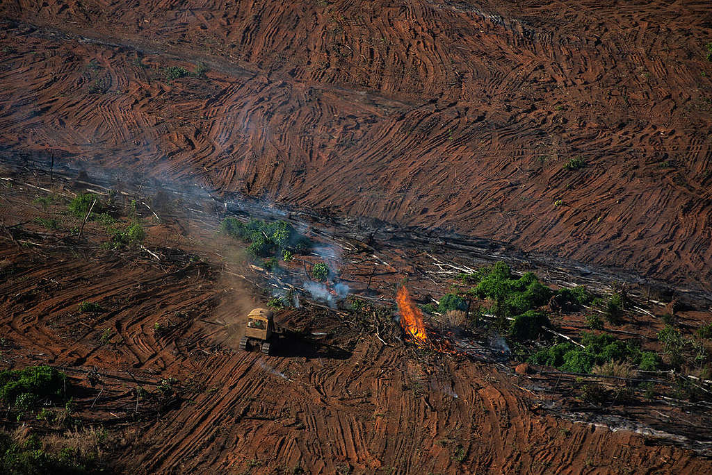 Environmental justice for deforestation 